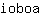 i***a