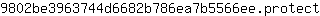 9***t