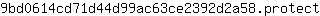 9***t