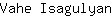 V***n