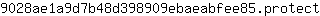 9***t