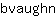 b***n