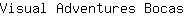 V***s