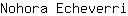 N***i