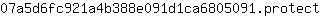 0***t