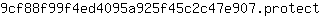 9***t