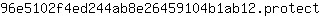 9***t