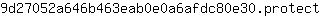 9***t