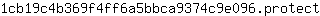 1***t