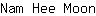 N***n