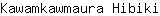 K***i