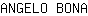 A***A