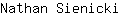 N***i