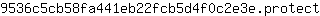 9***t
