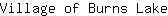 V***e