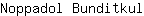 N***l