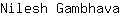 N***a
