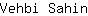 V***n