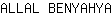 A***A