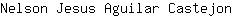 N***n