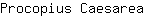 P***a