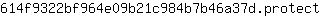 6***t