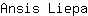 A***a