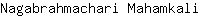 N***i