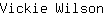 V***n