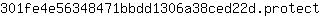 3***t