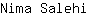 N***i