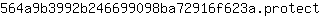 5***t