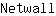 N***l