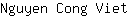 N***t