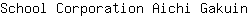 S***n