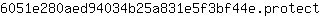 6***t