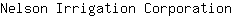 N***n