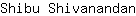S***n
