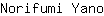 N***o