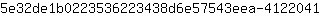 5***1