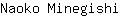 N***i