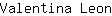 V***n