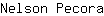 N***a