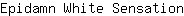 E***n
