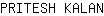 P***N