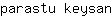 p***n