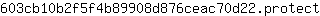 6***t