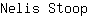 N***p