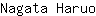 N***o