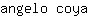 a***a